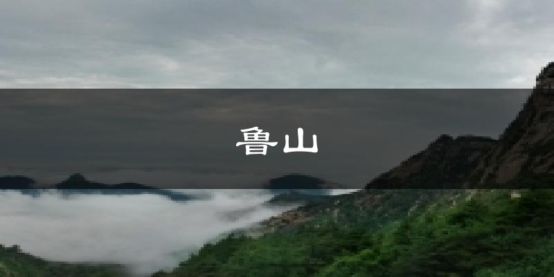 鲁山今日天气