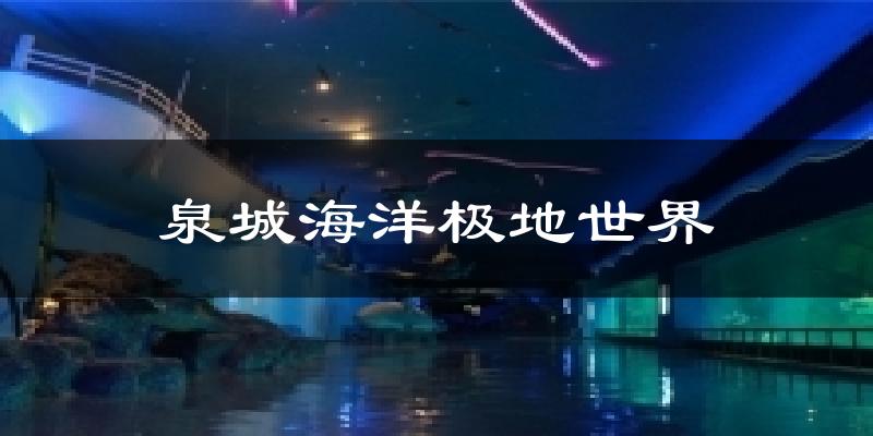泉城海洋极地世界今日天气