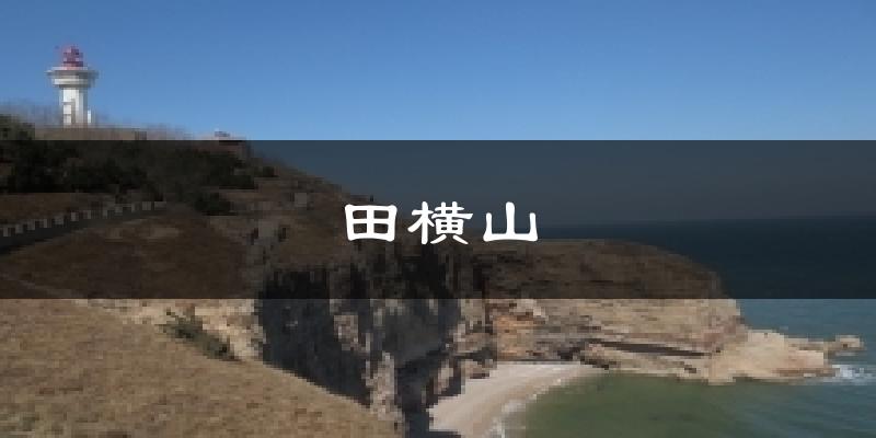 田横山天气未来15天