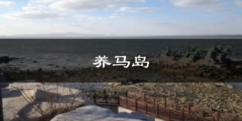养马岛今日天气