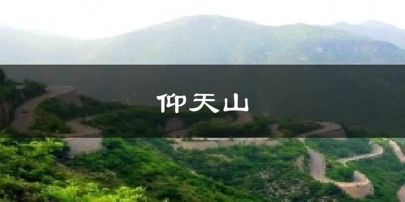 仰天山今日天气