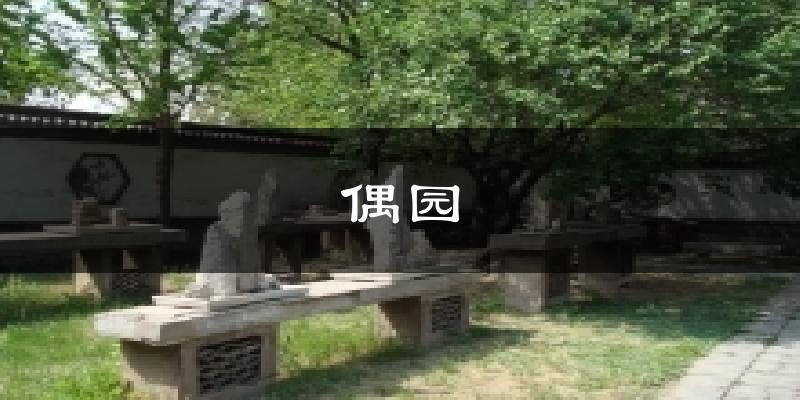 偶园今日天气