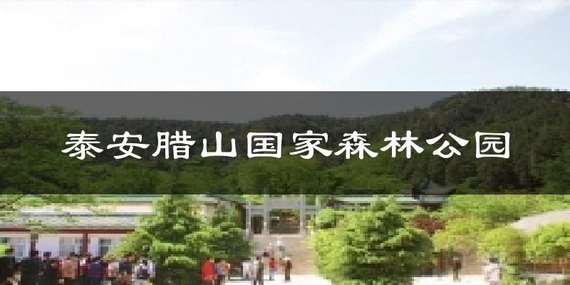 泰安腊山国家森林公园今日天气