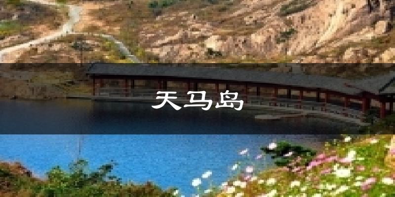 天马岛今日天气