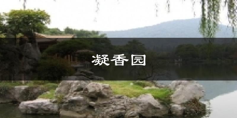 凝香园气温