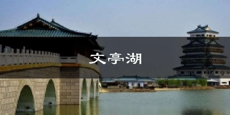 文亭湖今日天气