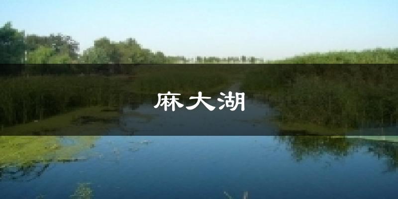麻大湖气温