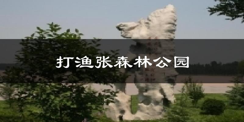 打渔张森林公园气温