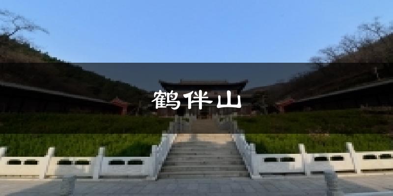 鹤伴山气温