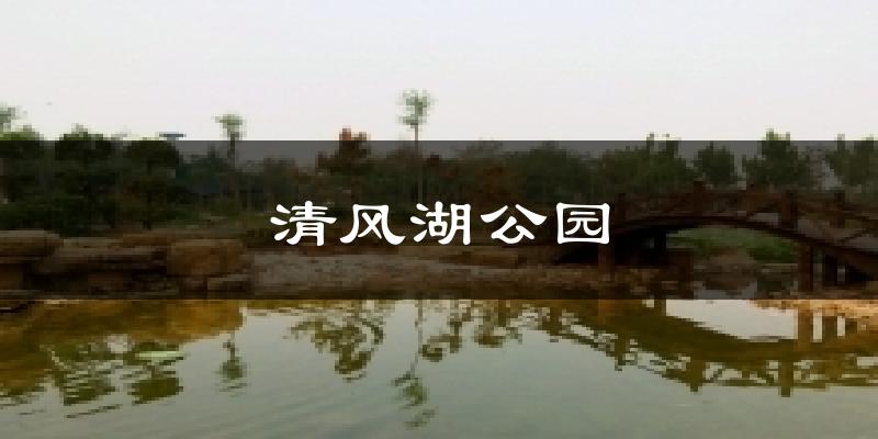 清风湖公园今日天气