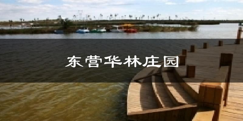 东营华林庄园气温