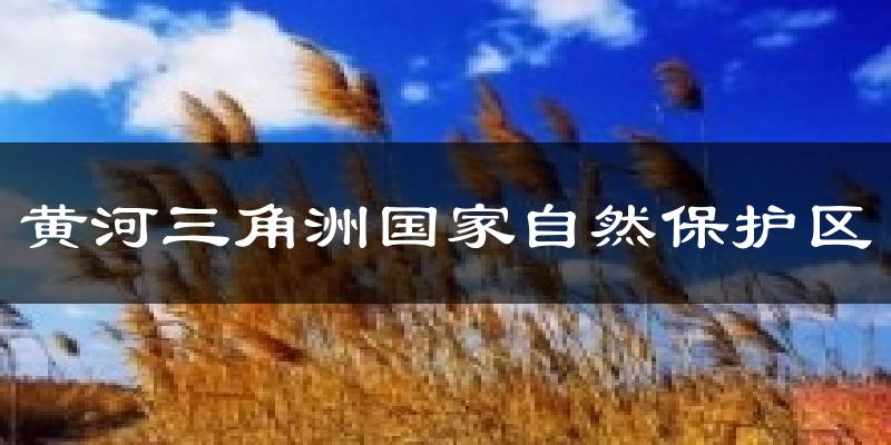 黄河三角洲国家自然保护区气温