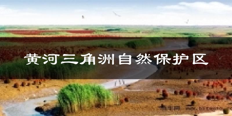 黄河三角洲自然保护区气温