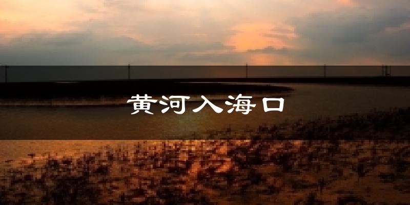 黄河入海口气温