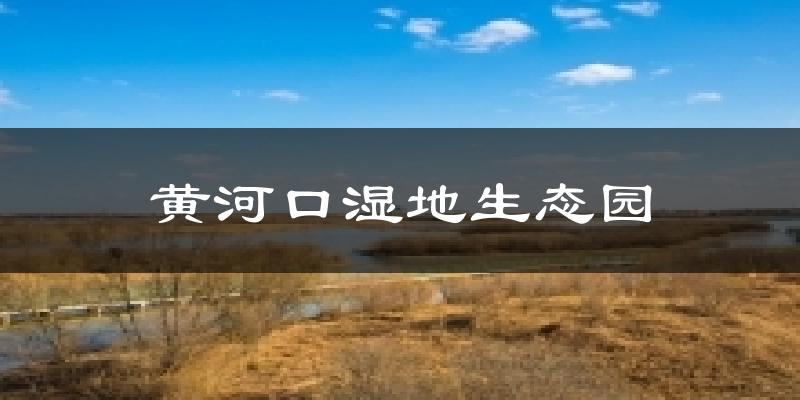 黄河口湿地生态园气温