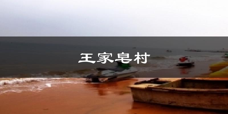 王家皂村气温