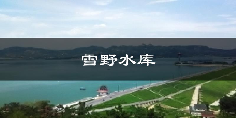 雪野水库今日天气