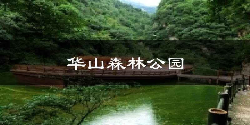 华山森林公园今日天气
