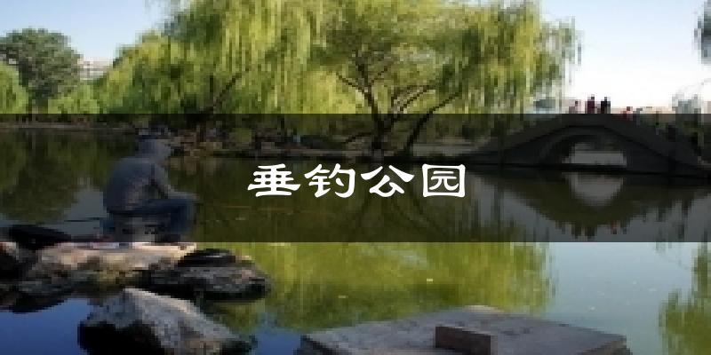 垂钓公园今日天气
