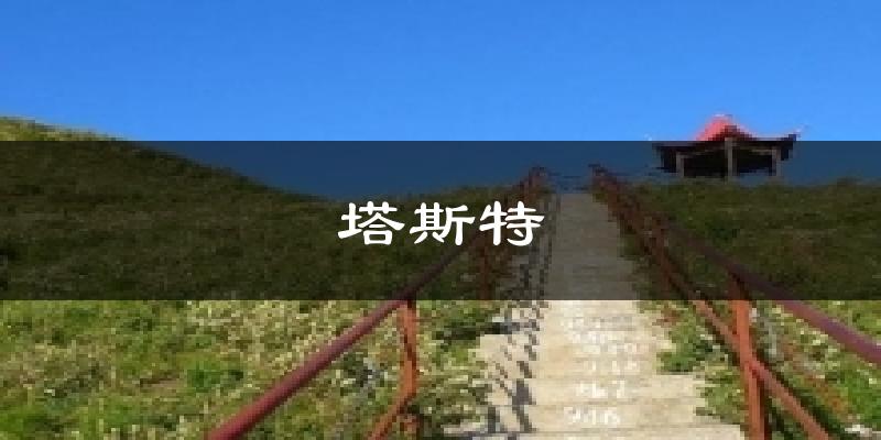 塔斯特今日天气
