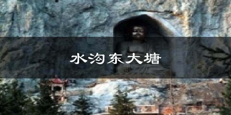 水沟东大塘今日天气