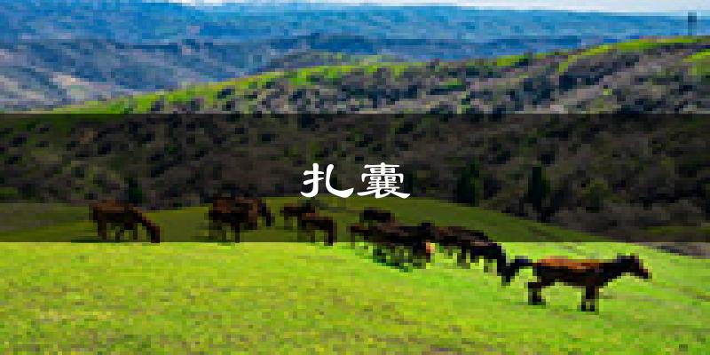 扎囊天气预报未来一周