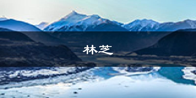 林芝天气预报未来一周