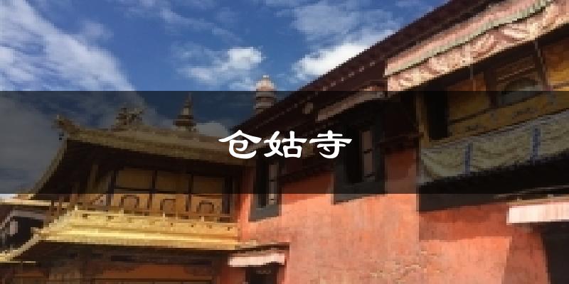 仓姑寺今日天气
