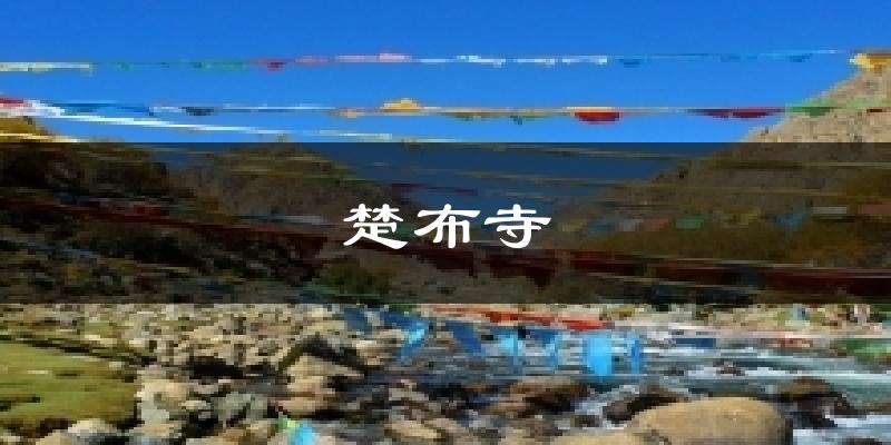 楚布寺今日天气