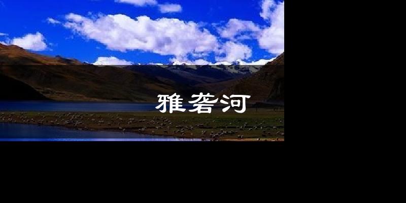 雅砻河气温