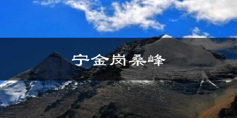 宁金岗桑峰气温