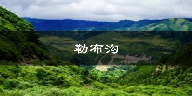 勒布沟今日天气