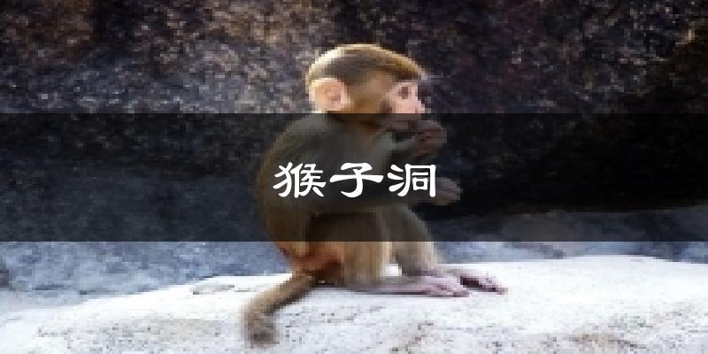 猴子洞今日天气