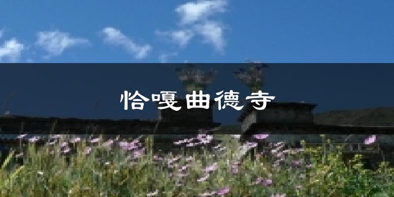 恰嘎曲德寺今日天气