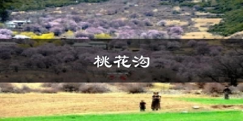 桃花沟气温