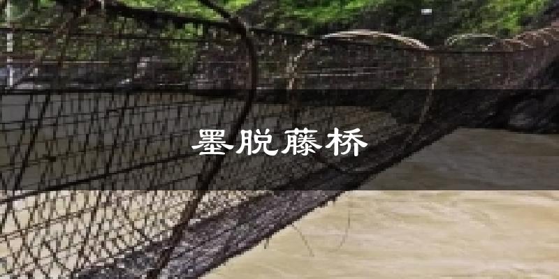 墨脱藤桥今日天气