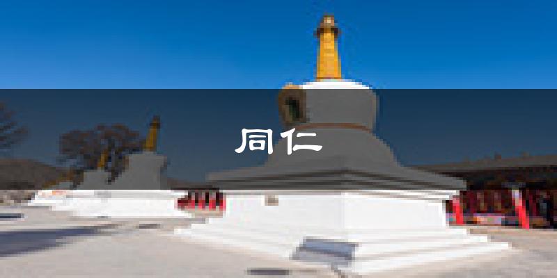 同仁天气预报未来一周