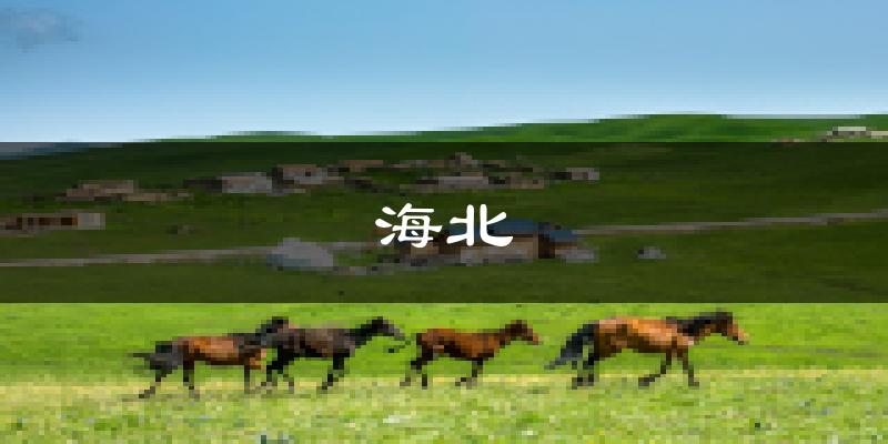海北天气预报未来一周