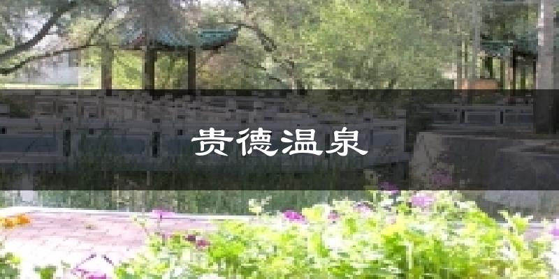 贵德温泉气温
