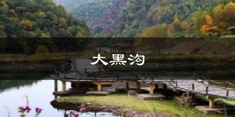 大黑沟今日天气