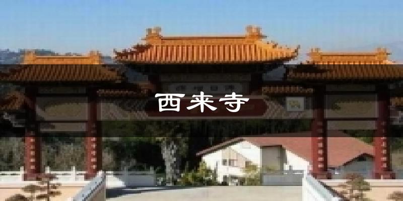 西来寺今日天气