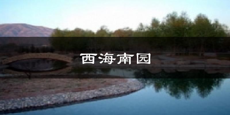 西海南园今日天气
