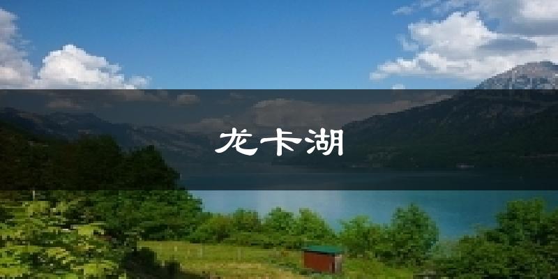 龙卡湖今日天气
