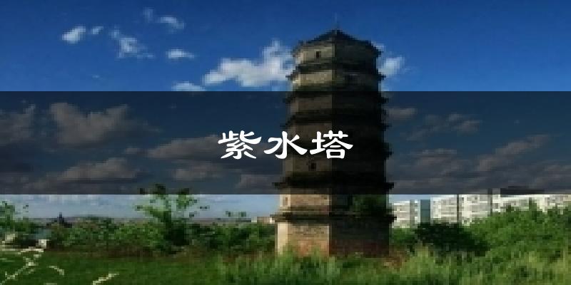 紫水塔气温