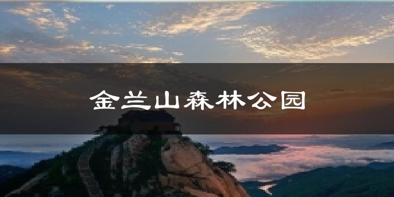 金兰山森林公园今日天气