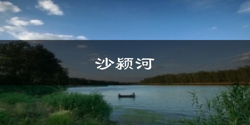 沙颍河今日天气