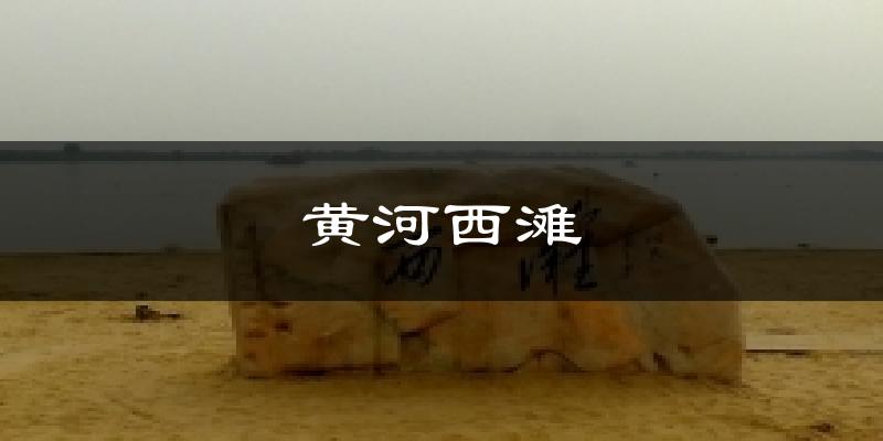 黄河西滩今日天气