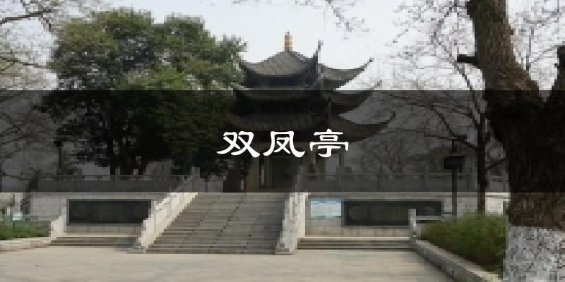 双凤亭今日天气