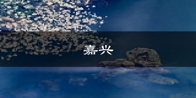 嘉兴天气预报未来一周