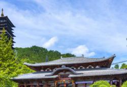 开化天气未来15天